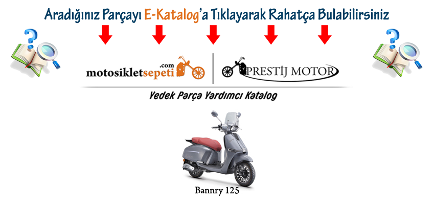 Detay Yardımcı Katalog Kuba Bannry 125