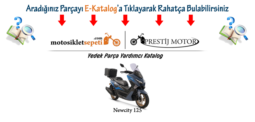 Detay Yardımcı Katalog Kuba Newcity 125