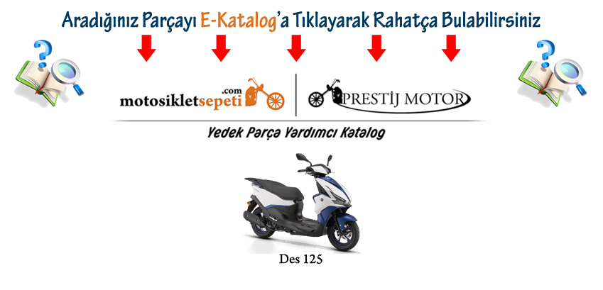 Detay Yardımcı Katalog Rks Des 125